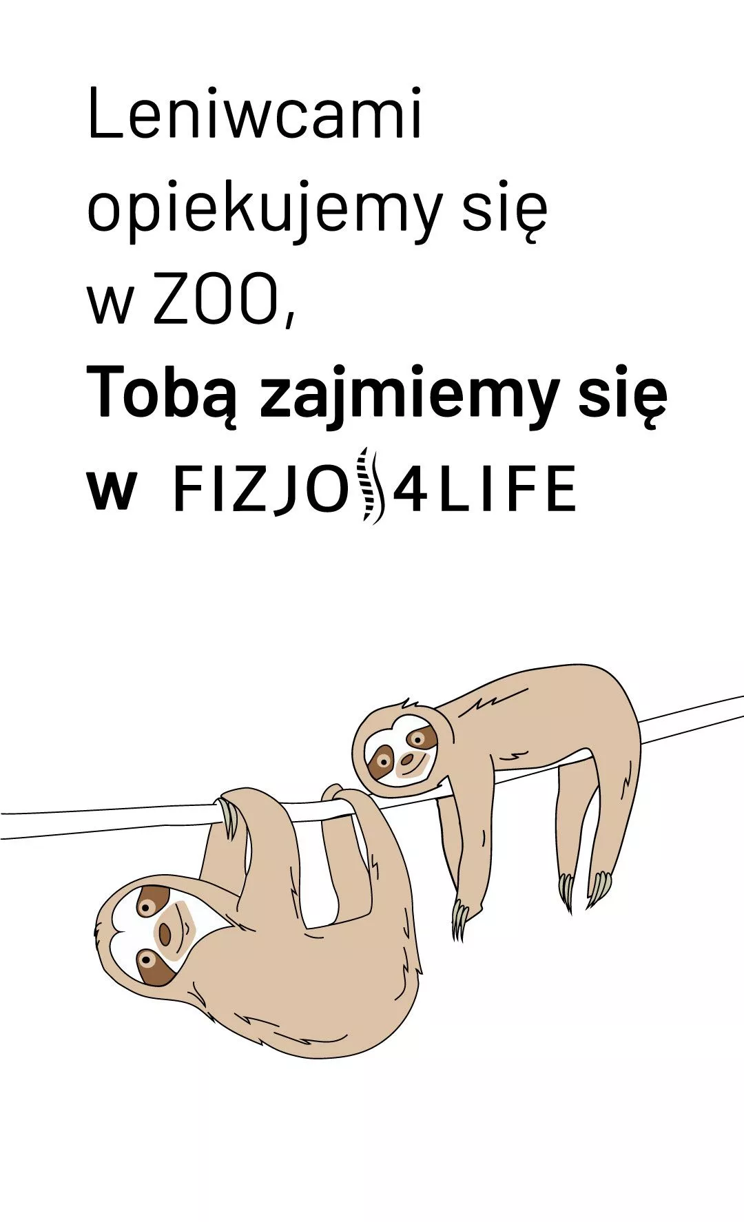 opiekujemy sie leniwcami z warszawskiego zoo